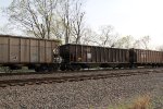 NS 10229
